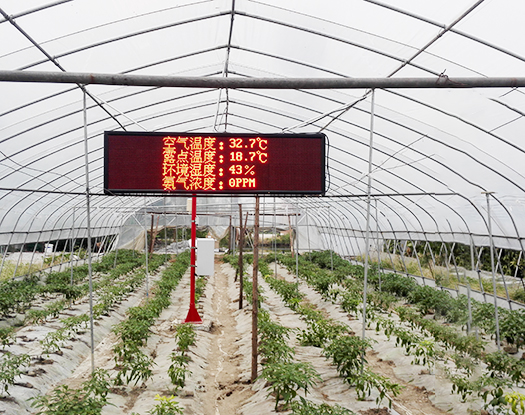 自动气象站常见要素及其在农业领域的应用