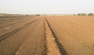 新品推荐“智慧农业土壤墒情监测系统